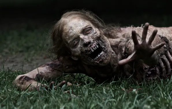 Picture grass, zombies, zombie, the series, serial, The Walking Dead, The walking dead