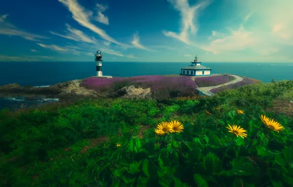 Picture sea, landscape, flowers, bridge, nature, vegetation, lighthouse, island