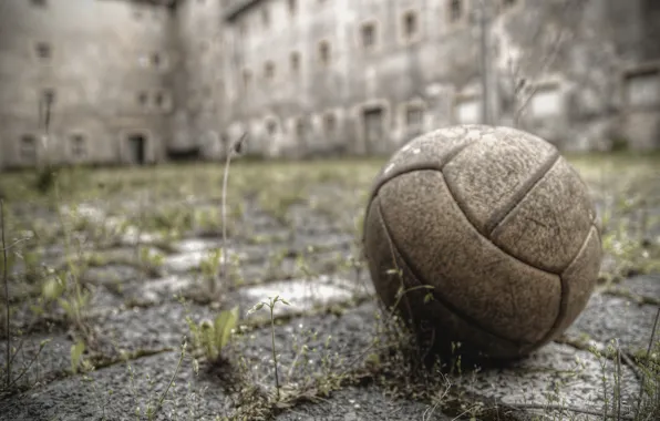 Picture sport, the ball, yard