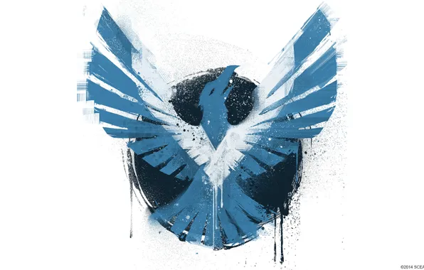 Background, bird, figure, wings, Infamous: Second Son