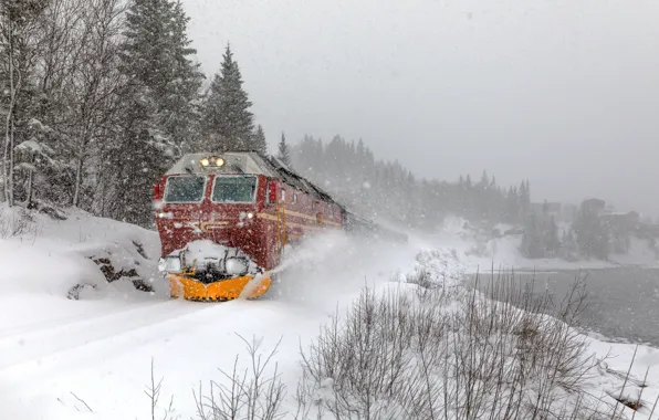 Picture Winter, Trees, Snow, Train, Norway, Norway, Between Finneid Fjord and Mo-i-Rana, Between Finneidfjord and Mo …