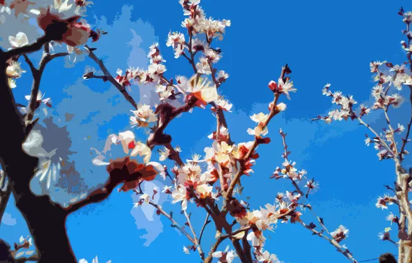 Flowers, spring, bloom