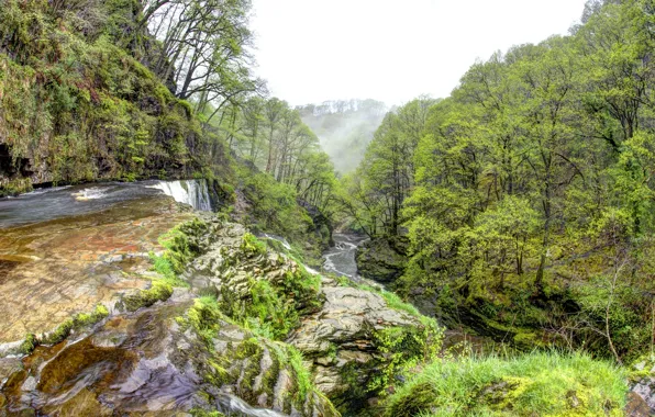 Picture forest, trees, fog, stream, stones, waterfall, morning, UK