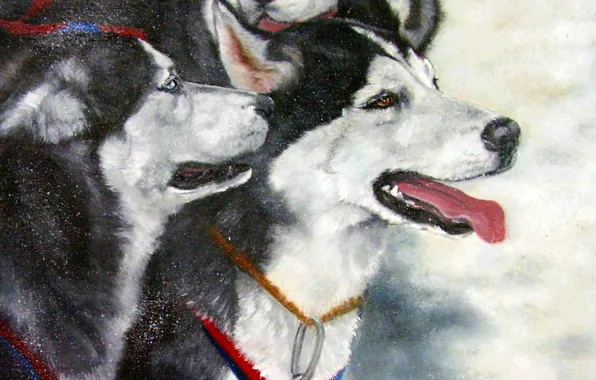 Winter, dogs, look, pose, oil, portrait, dog, painting