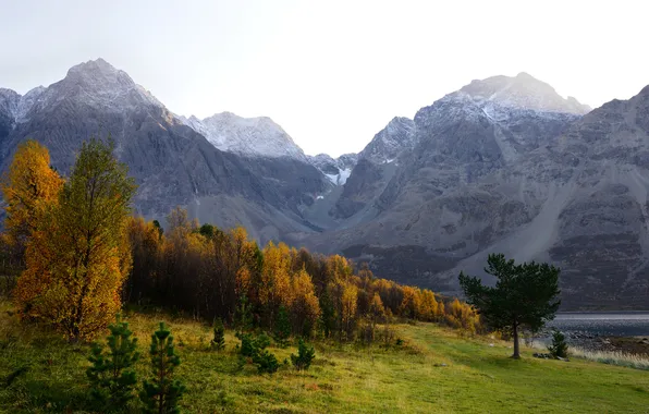 Autumn, forest, the sky, trees, mountains, slope