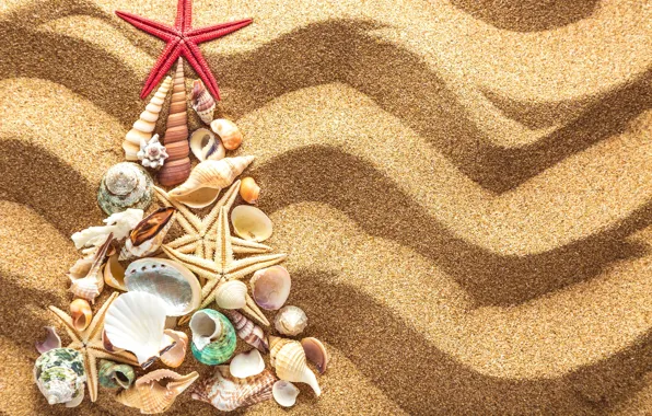 Picture sand, decoration, tree, New Year, shell, Christmas, beach, tree