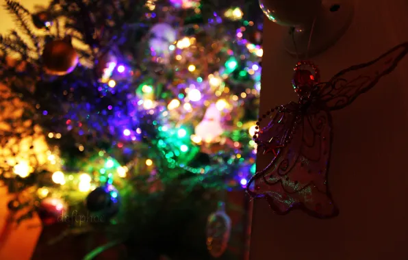 Christmas, new year, christmas tree