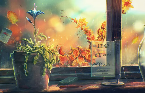 Picture flower, window, art, pot, sill, thermometer