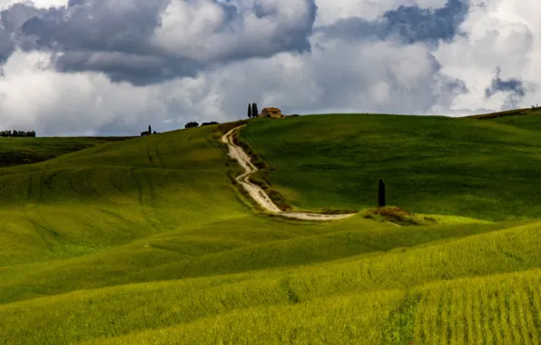 Road, field, the sky, grass, clouds, hills, view, field