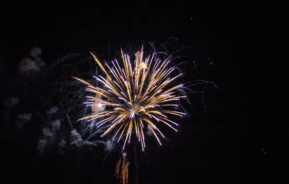 Happy New Year, Lights, Night, Holiday, Fireworks, Sylvester, Ryan Millsap