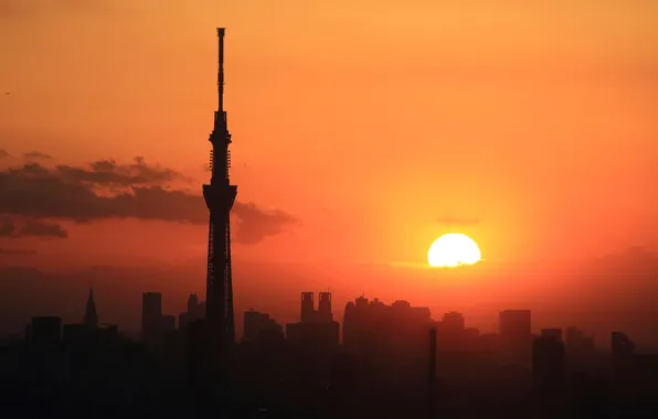 Picture the sun, sunrise, dawn, architecture