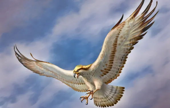 The sky, bird, wings, art, Falcon