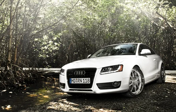 Picture road, white, light, Audi, thickets, Audi, coupe, puddle