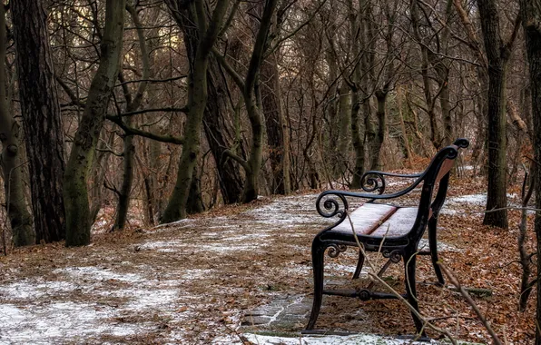 Picture autumn, nature, Park, bench