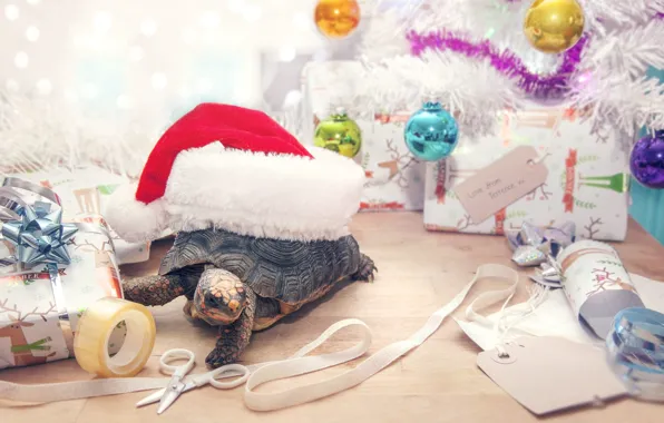 Balls, light, the inscription, turtle, Christmas, tape, gifts, floor