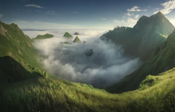 Picture fog, morning, grass, mountains