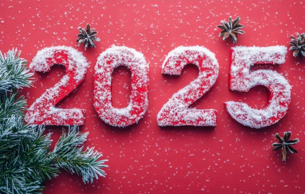 Frost, snow, figures, New year, needles, bumps, red background, date