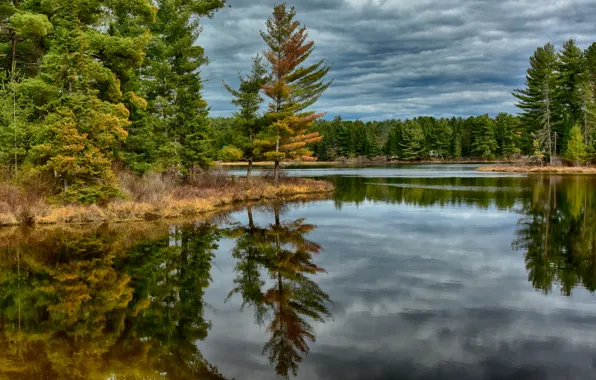 Picture autumn, forest, trees, landscape, river