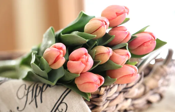 Picture tenderness, bouquet, tulips, buds