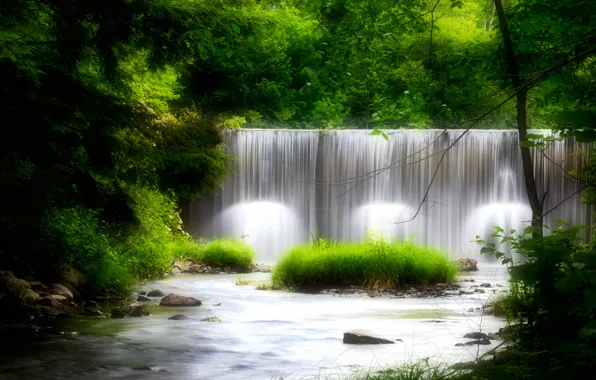 Picture forest, foliage, waterfall