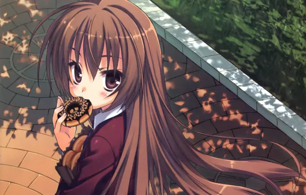 Pavers, package, schoolgirl, donut, long hair, Aisaka Taiga, Toradora!, big eyes