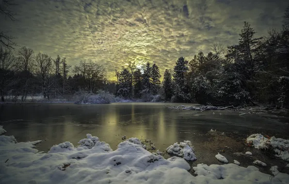 Picture winter, forest, lake, the evening
