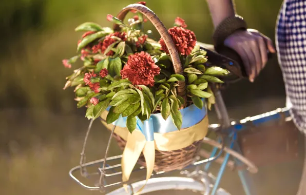 Leaves, girl, flowers, bike, background, widescreen, Wallpaper, basket