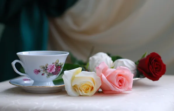 Flowers, table, holiday, tea, roses, Cup, still life