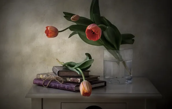 Picture flowers, style, tulips, book, still life