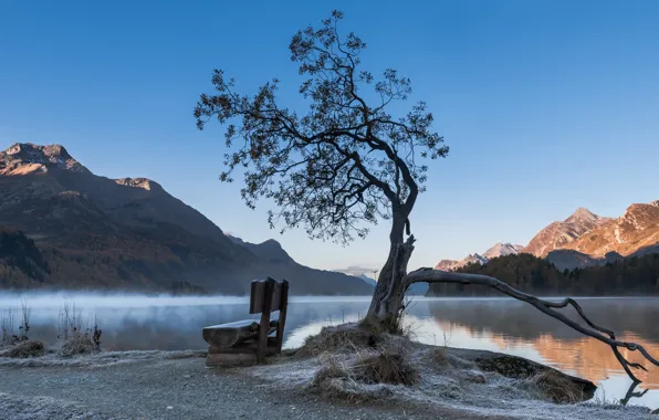 Fog, lake, morning, bench