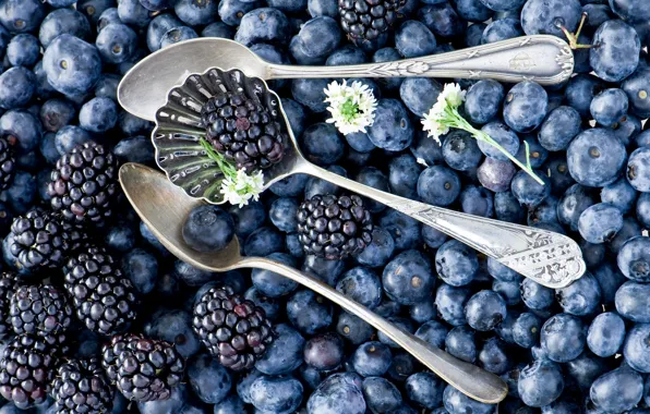 Berries, blueberries, a lot, BlackBerry, spoon, Anna Verdina