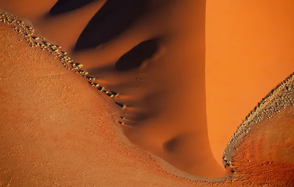 Picture wide, sand, orange, bush, Desert, umbra