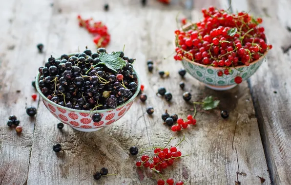 Picture berries, placer, brush, currants