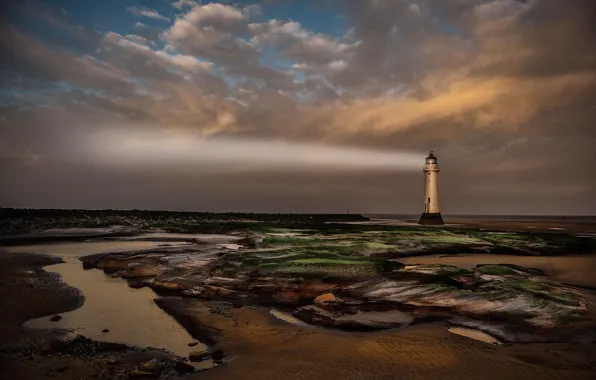 Picture sea, beach, landscape, lighthouse, the evening