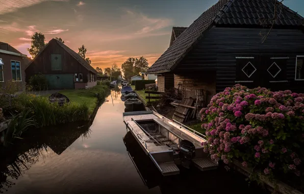 Summer, the sky, landscape, sunset, flowers, branches, nature, comfort
