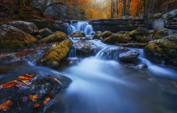 Picture autumn, leaves, river, stones, France, waterfall, cascade, France