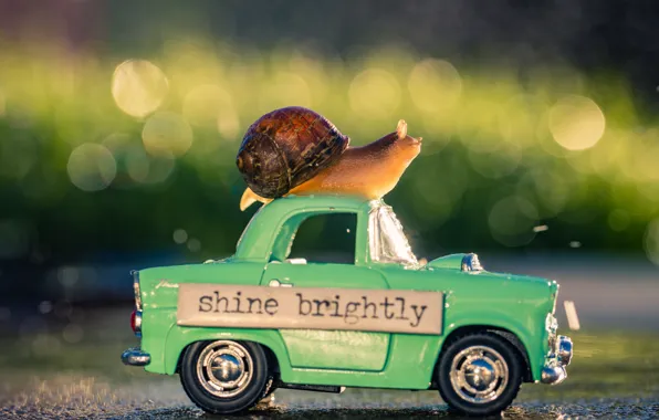 Road, machine, macro, light, lights, mood, the inscription, plate