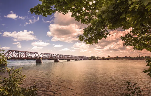 Picture bridge, river, pond, train