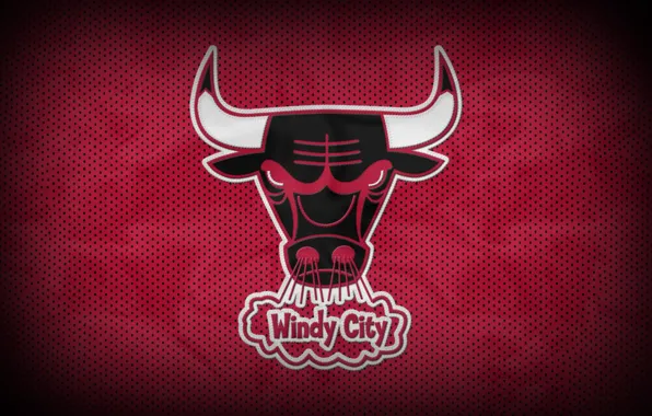 Basketball, nba, bull, chicago bulls, Chicago bulls