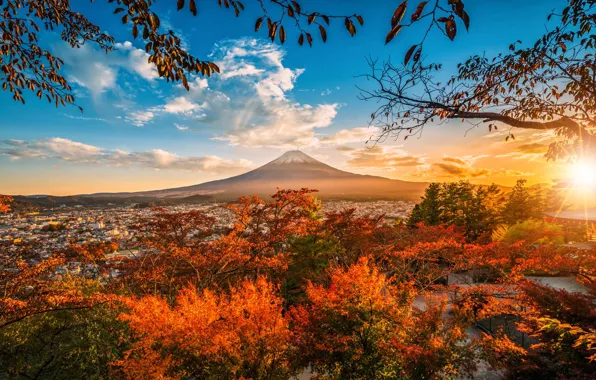 Autumn, the sun, rays, landscape, sunset, branches, nature, mountain