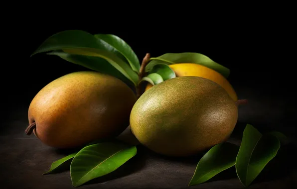 Leaves, the dark background, fruit, mango, AI art, neural network
