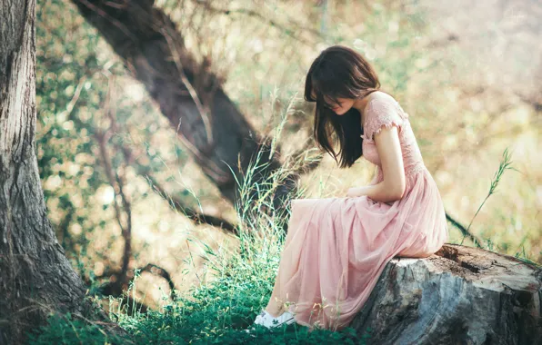 Forest, grass, trees, pose, model, stump, portrait, figure