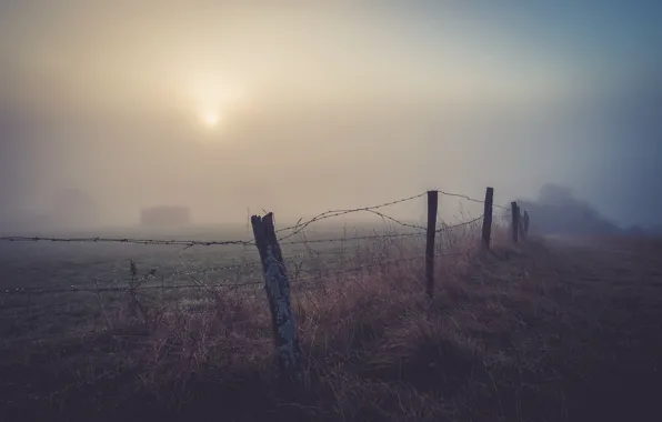 Picture night, fog, the fence