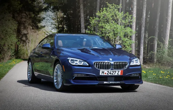 BMW, BMW, Gran Coupe, xDrive, US-spec, F06, Alpina, 2015
