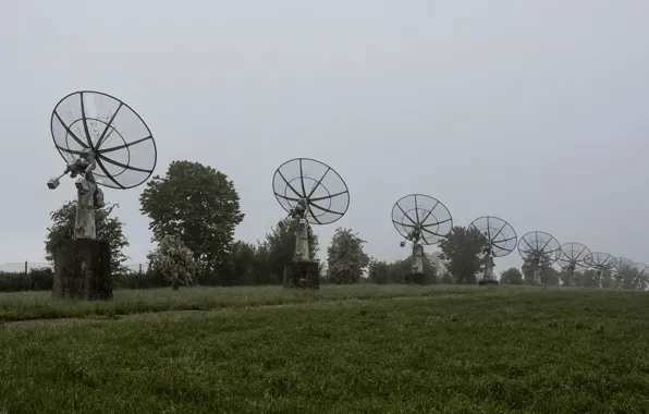 Field, fog, antenna
