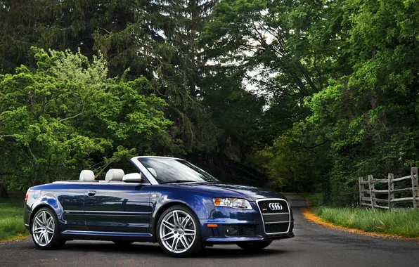 Picture Audi, audi, convertible, cabrio, audi rs4, rs4