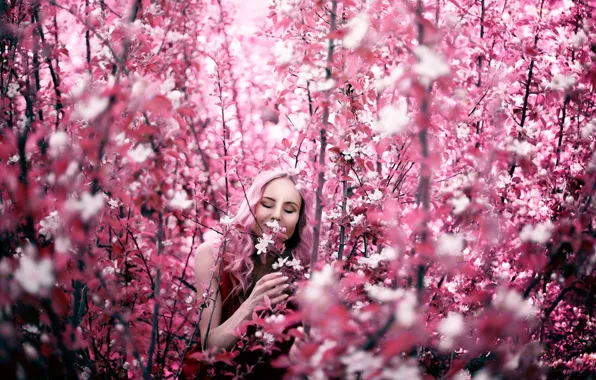 Picture girl, branches, spring, flowering