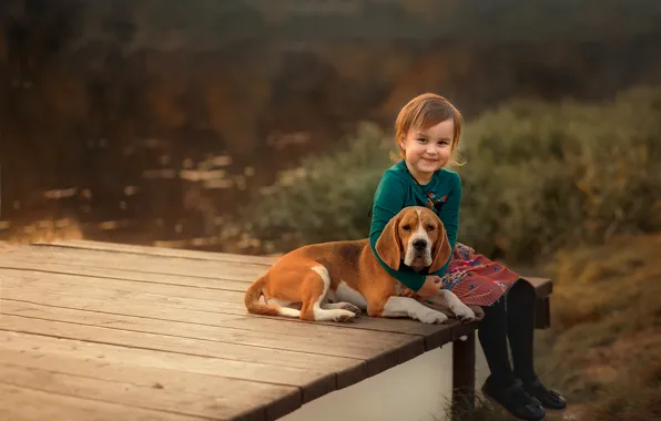 Picture nature, animal, Board, dog, girl, child, dog, Beagle