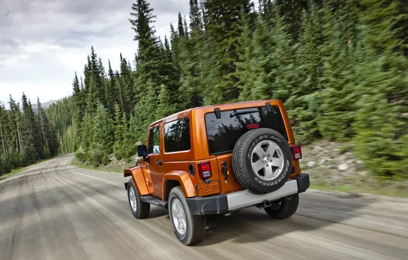 Road, forest, Wrangler, Jeep