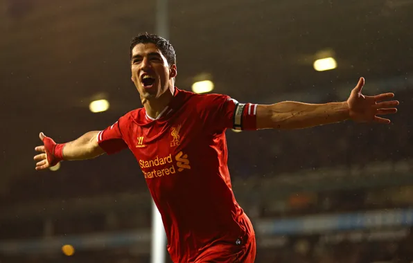 Sport, Football, Football, Liverpool, Sport, Luis Suarez, Liverpool Football Club, Luis Alberto Suárez Díaz